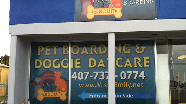 Window and door graphics on exterior of building